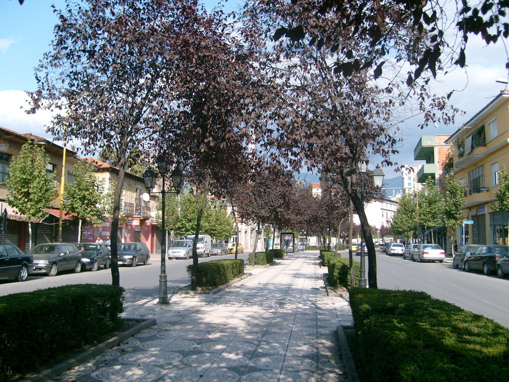 Tirana