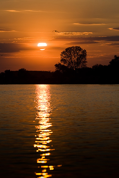 Tired Danube