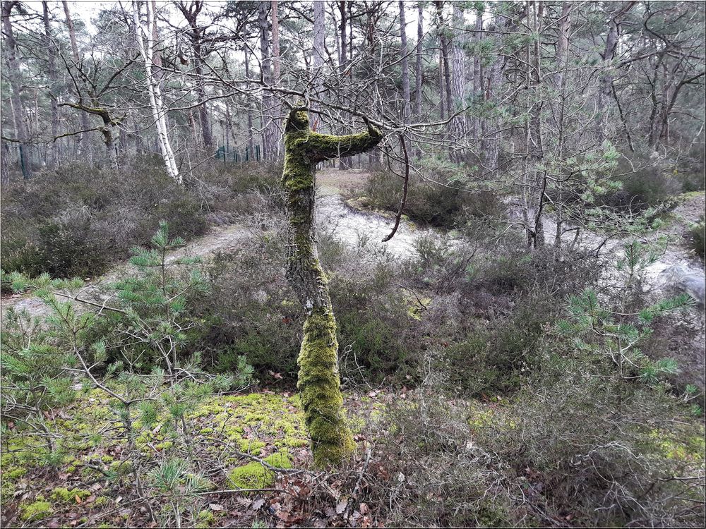 ..Tireur à l'arc à Buthiers (77)