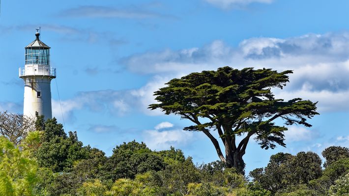 Tiritiri: Der Leuchtturm