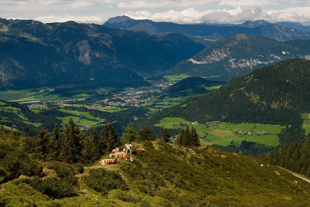 Tirol 47 - Wiedersberger Horn