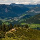 Tirol 47 - Wiedersberger Horn