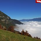 Tirol #6