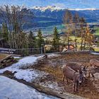 TIROL - Blick vom Kolsassberg – gegenüber das Karwendel