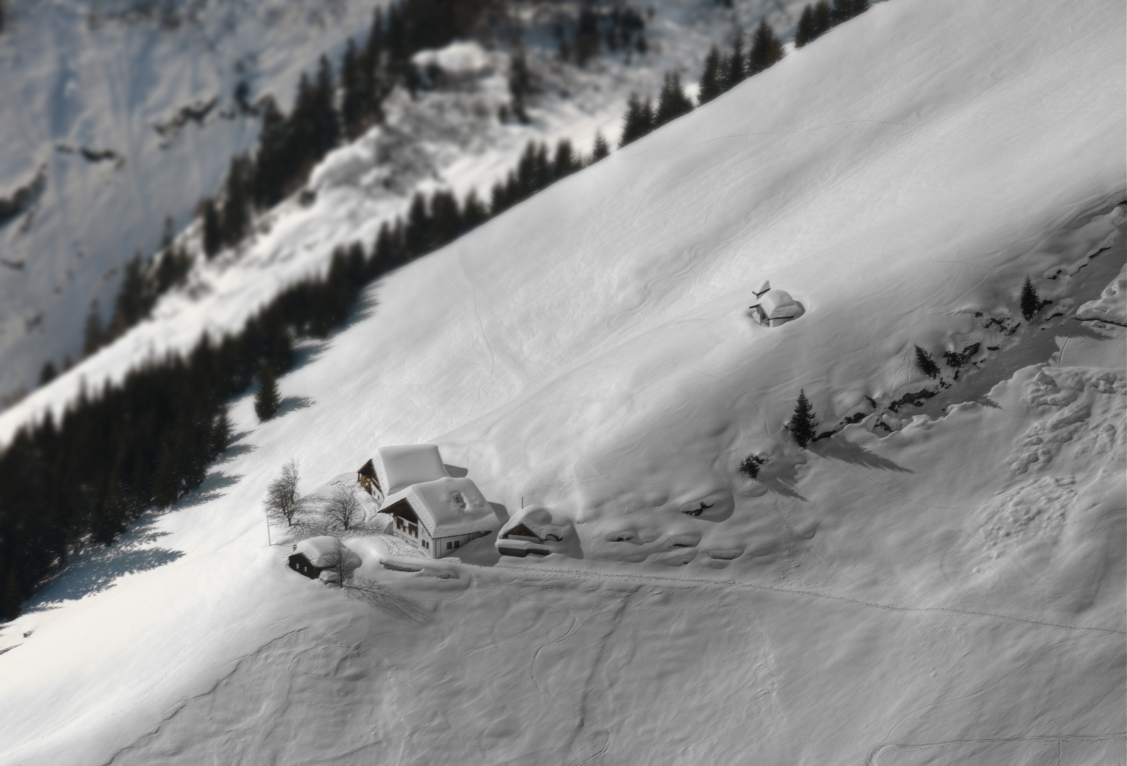 Tirol | Höttinger Alm