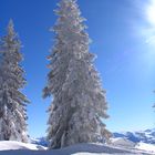 Tirol im Schnee