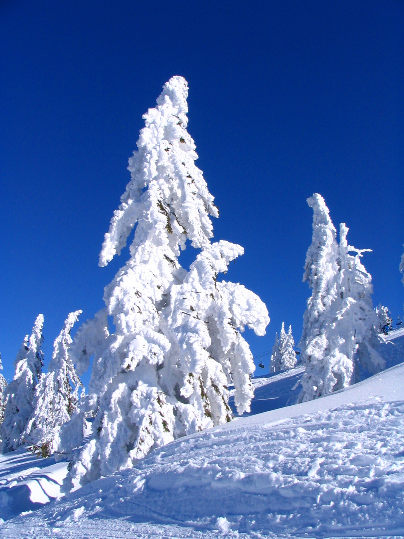 Tirol im Schnee III