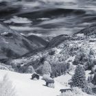 Tirol in IR