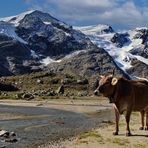 TIROL - majestätische Bergwelt -