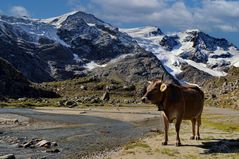 TIROL - majestätische Bergwelt -