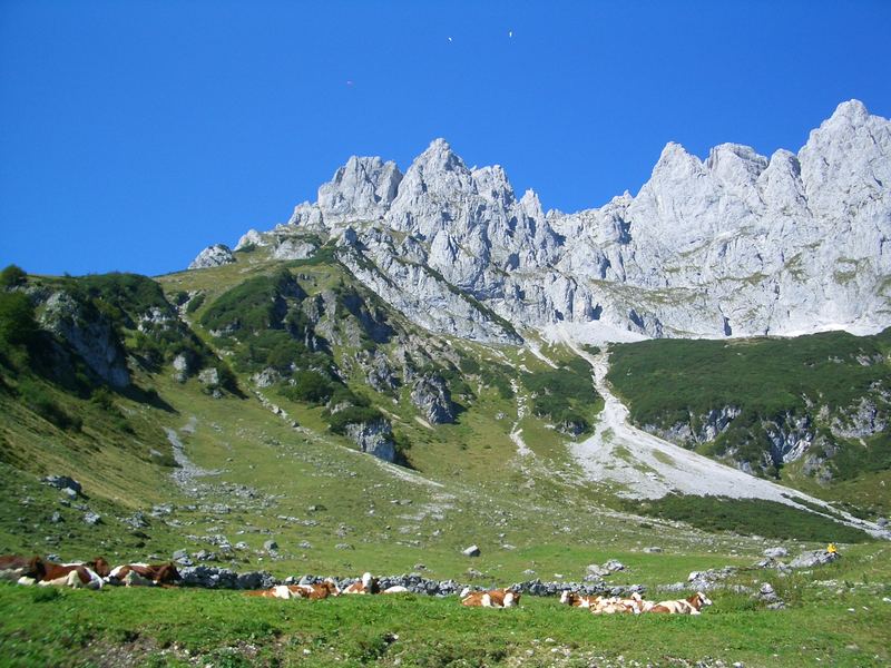 Tiroler Alm