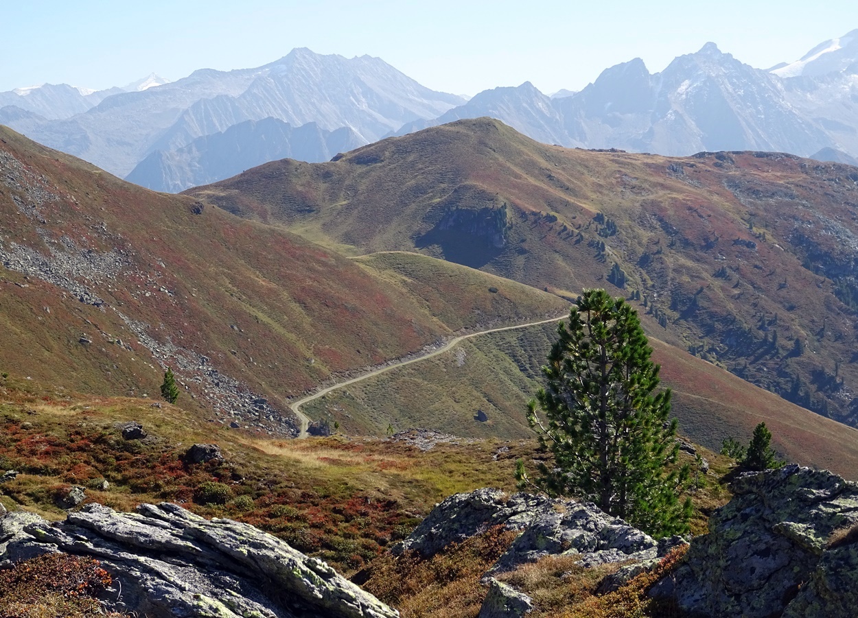 Tiroler Alpenblick