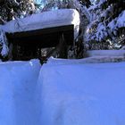 Tiroler Ansichten Tiroler Aussichten 04 hilfe der schnee ist nicht weiß