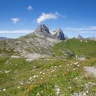 Tiroler Berge