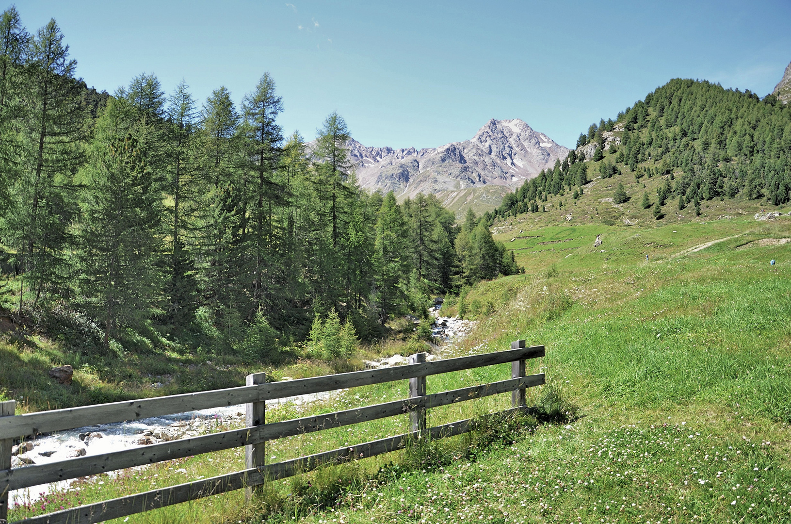 Tiroler Berge