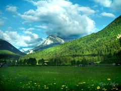 Tiroler Berge