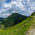 Tiroler Berge