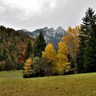 Tiroler Berglandschaft (4)