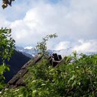 tiroler berglandschaft