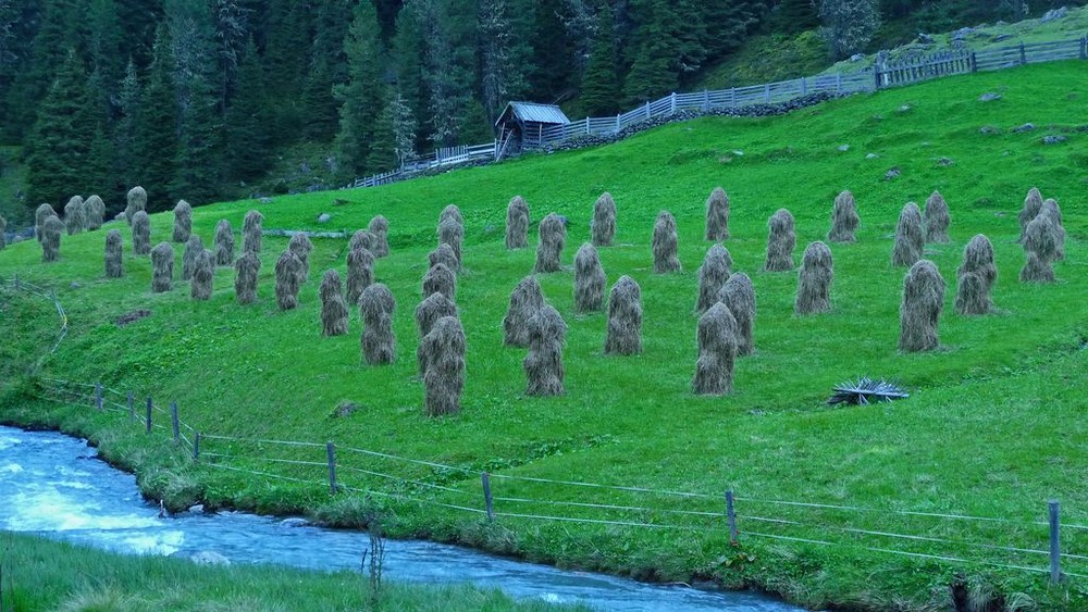 Tiroler Bergsoldaten ( Sehr selten ) bei Gries im Sellraintal