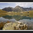 Tiroler Bergwelt