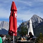 Tiroler Gröschtl mit Zugspitzblick