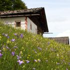 Tiroler Haus