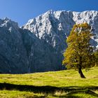 Tiroler Herbst