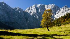 Tiroler Herbst