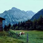 Tiroler Landschaft-2