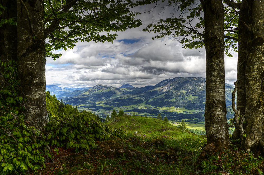 Tiroler Landschaft