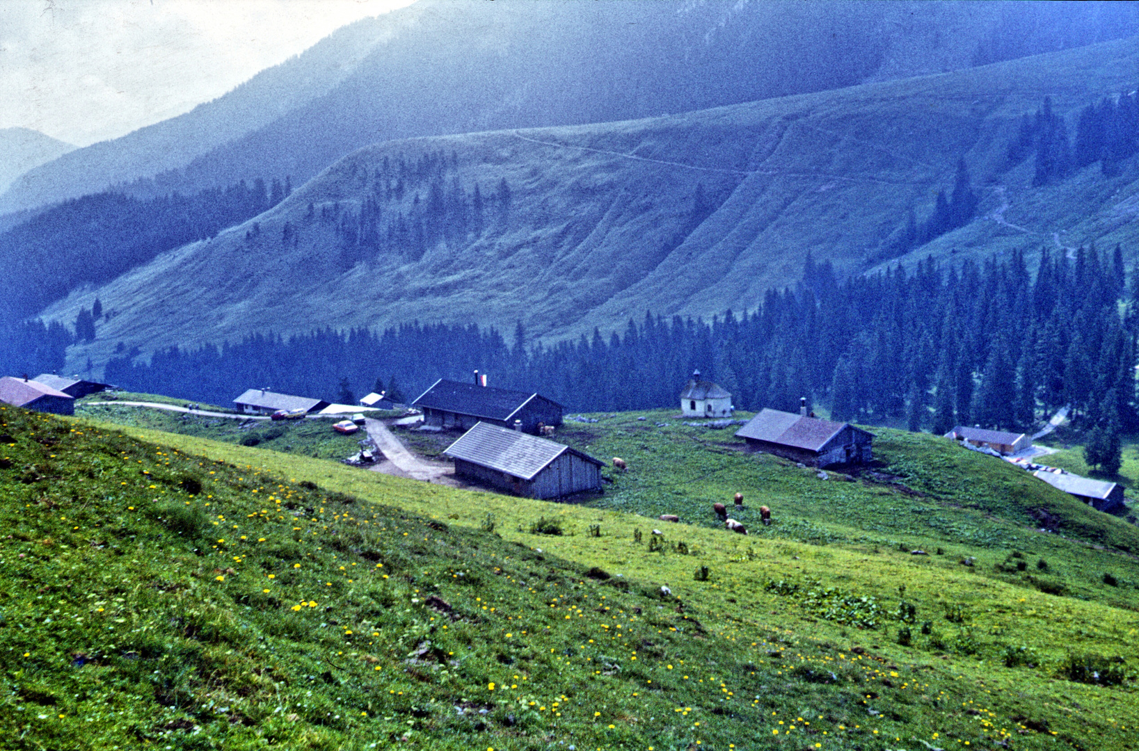 Tiroler Landschaft-im Ötztal-2