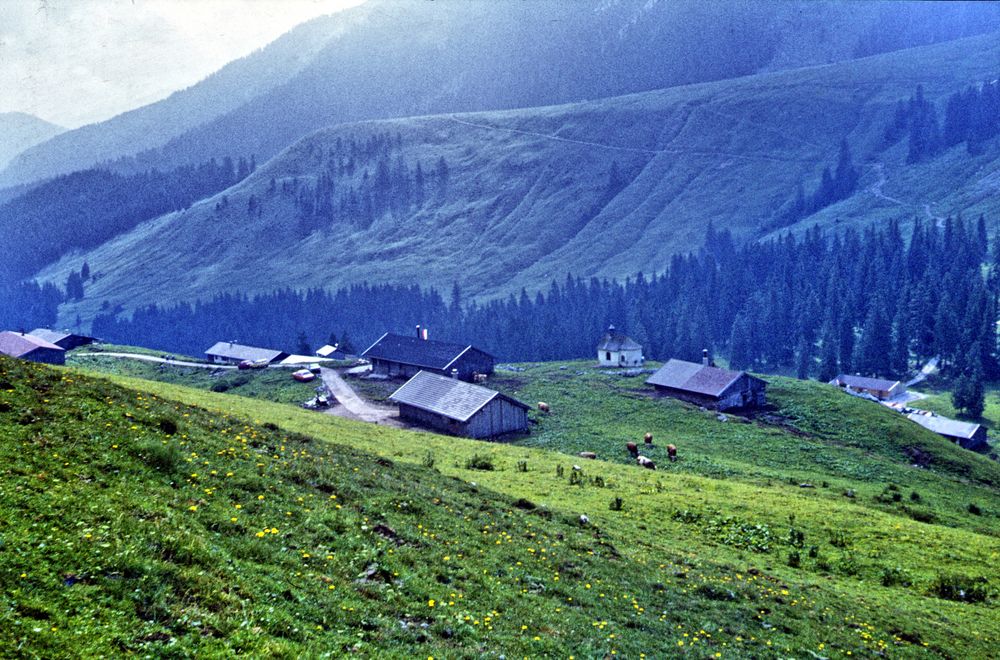 Tiroler Landschaft-im Ötztal-2