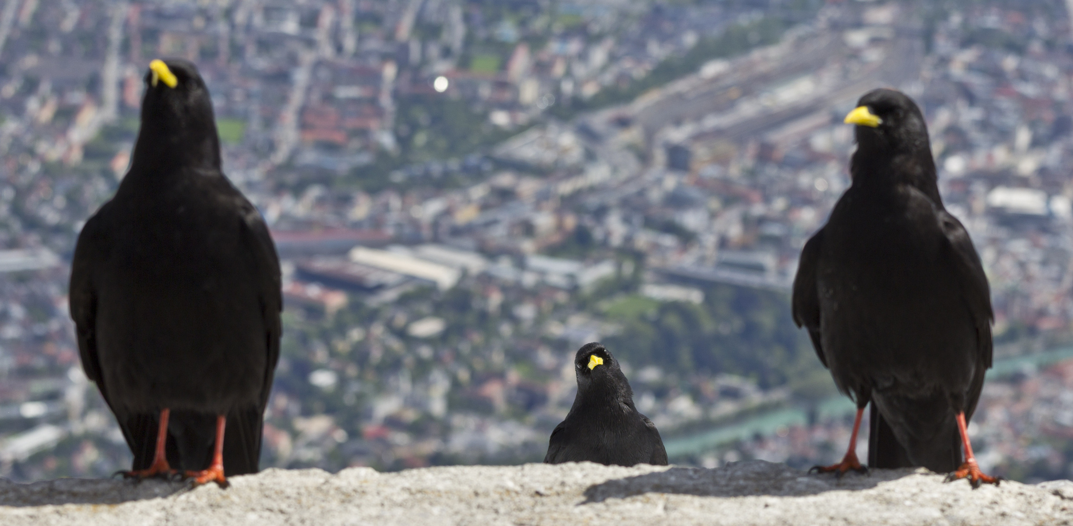 "Tiroler sehen mehr!"