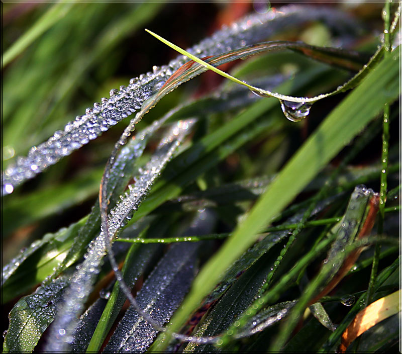 Tiroler Wassertropfen