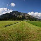 Tiroler Wiesen & Berge