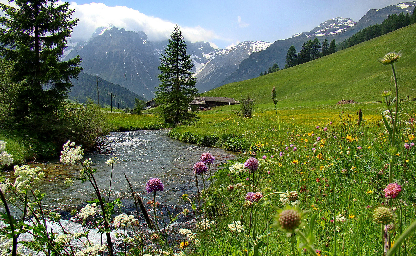 TIROLO Foto Immagini landschaft 1 juni 2022 natur TIROLO Foto Immagini landschaft 1 juni 2022 natur
