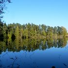 Tirschenreuth, am Uhrmacherteich Oktober 2011