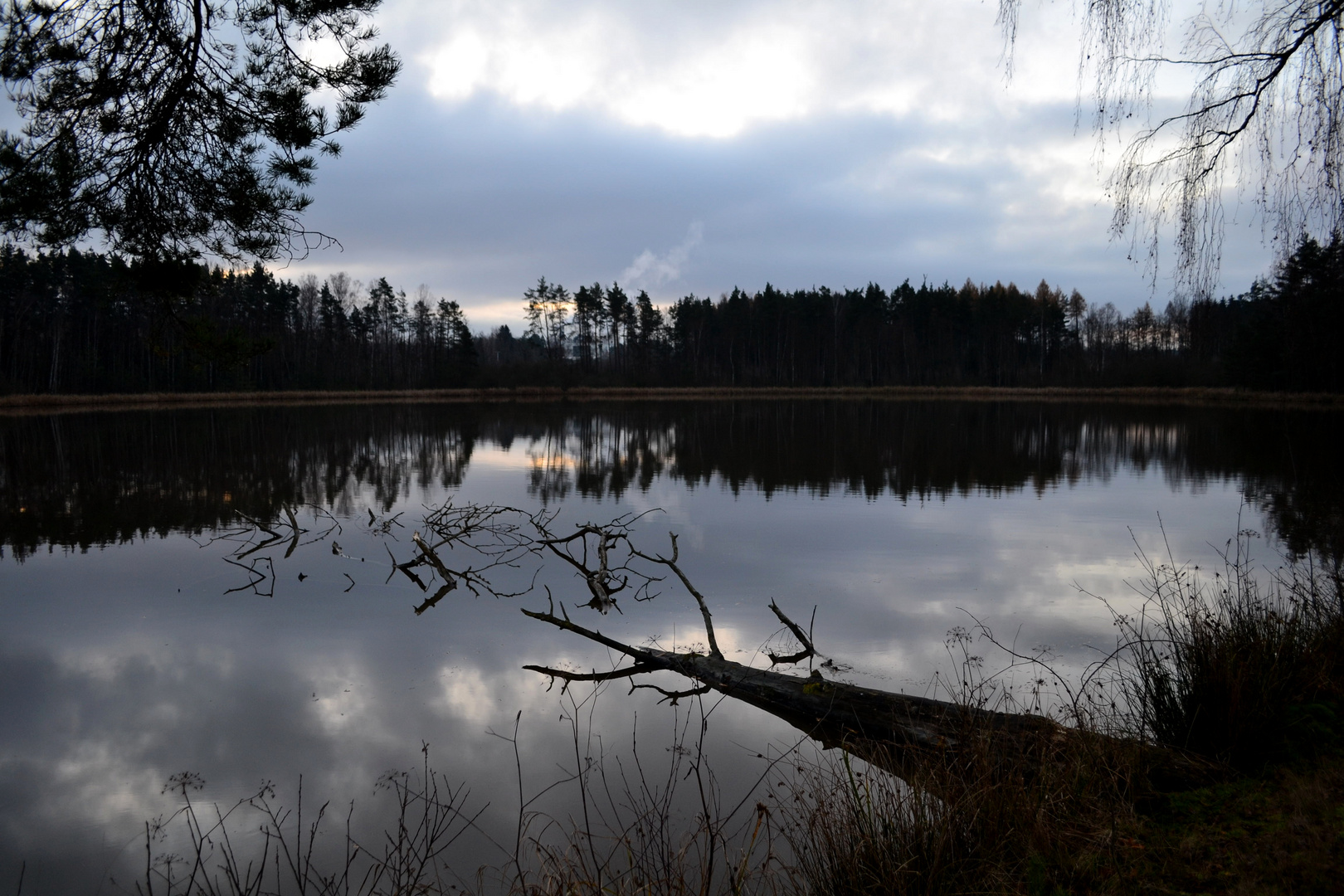 Tirschenreuth - Früh am Englmannsteich - 26. November 2014