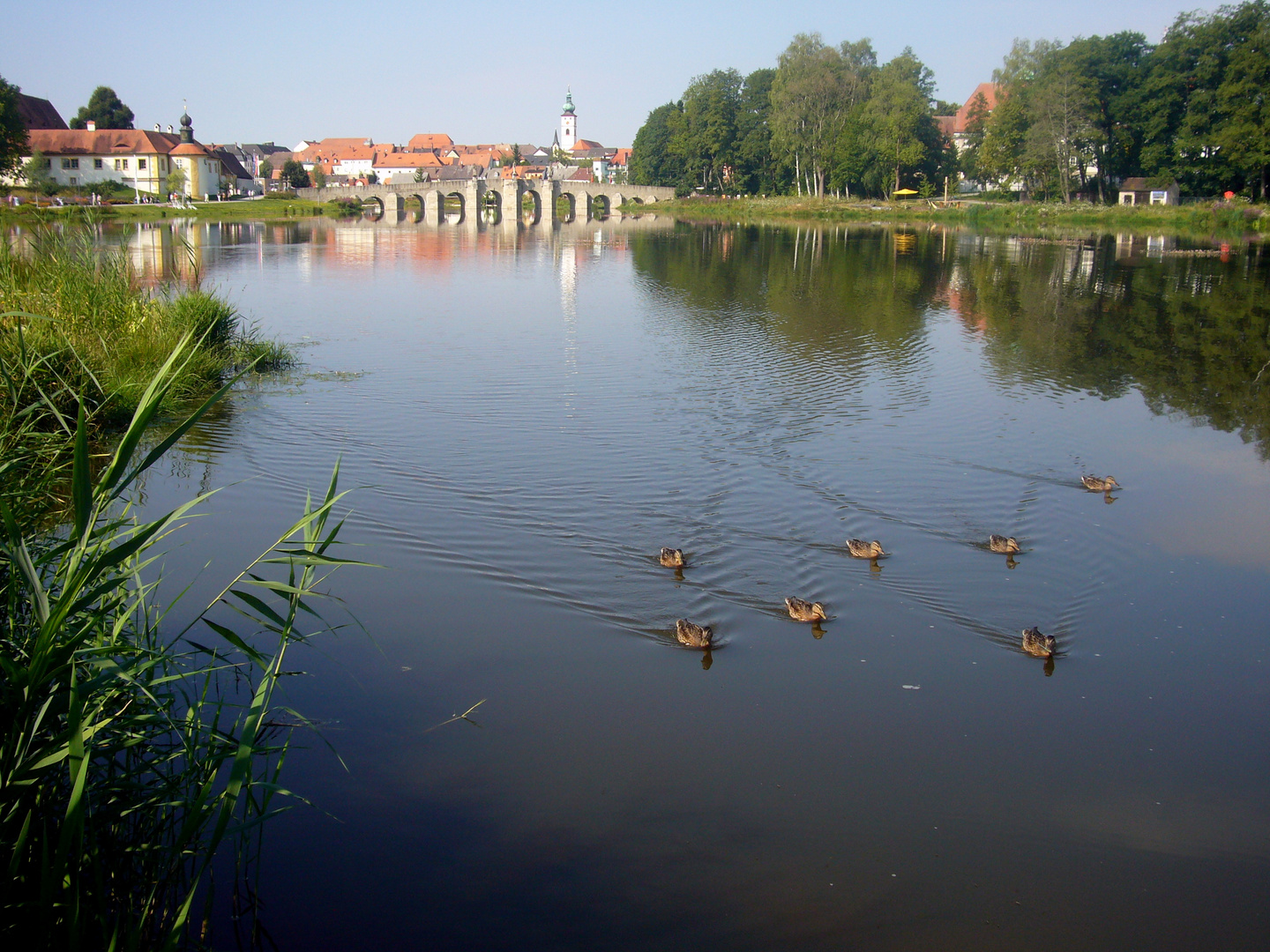 Tirschenreuth, Gartenschau im August 2013