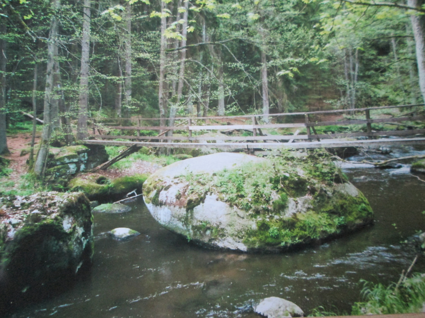 Tirschenreuth Waldnaabtal