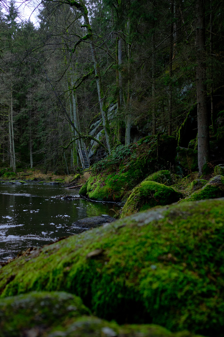 Tirschenreuther Waldnaab (Butterfass)