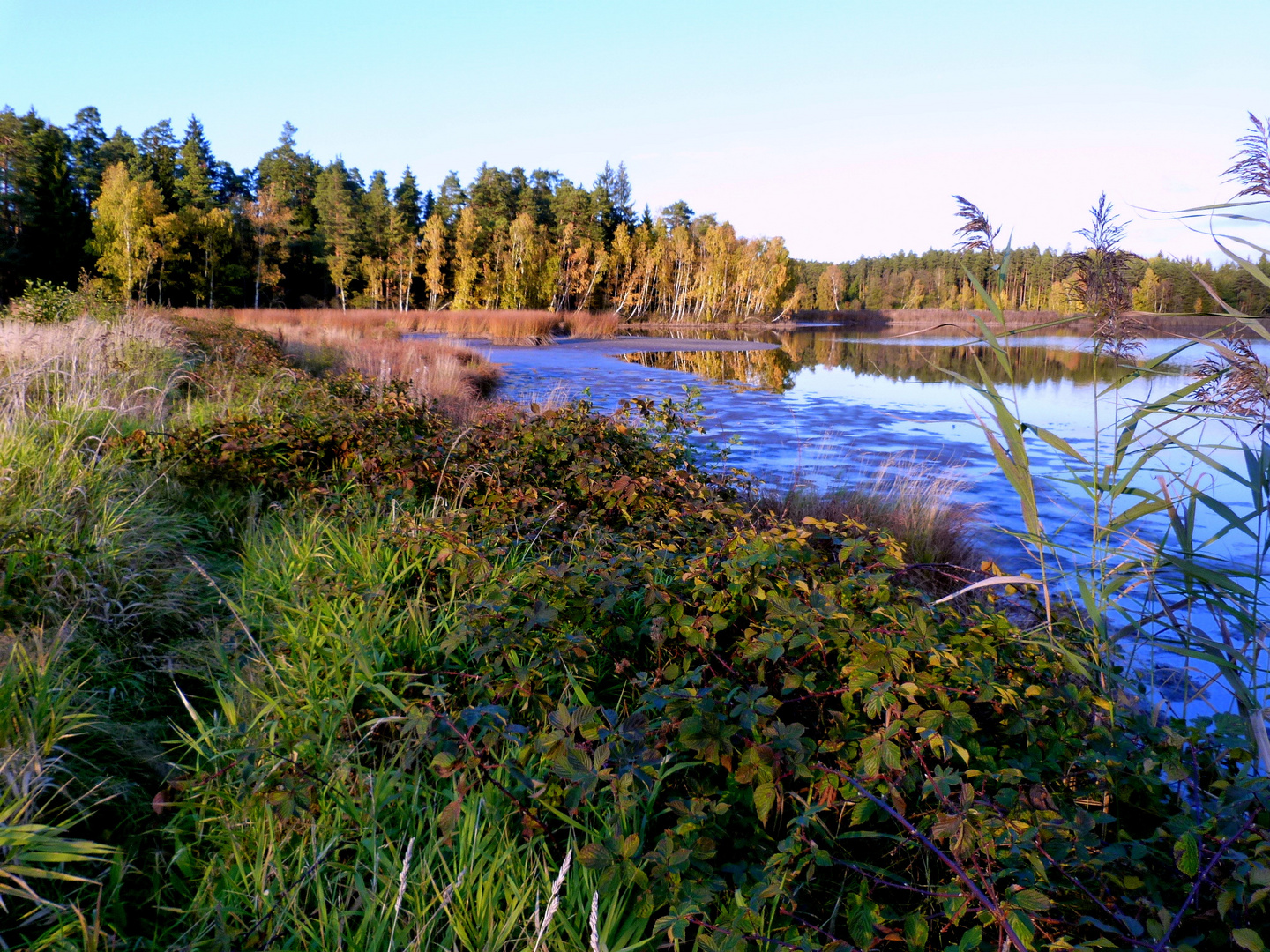 Tirschenreuth,Herbstlandschaft