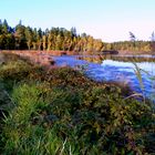 Tirschenreuth,Herbstlandschaft