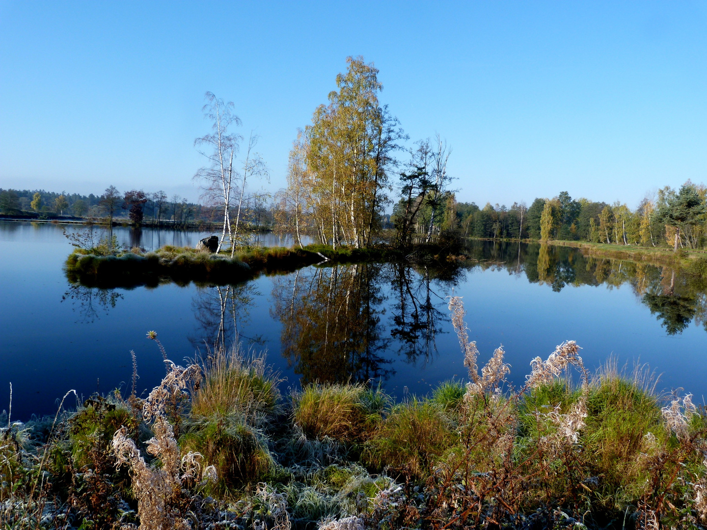 Tirschenreuth,Herbstmorgen in der Teichpfanne