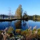 Tirschenreuth,Herbstmorgen in der Teichpfanne