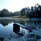 Tirschenreuth,Morgenstimmung in der Teichpfanne