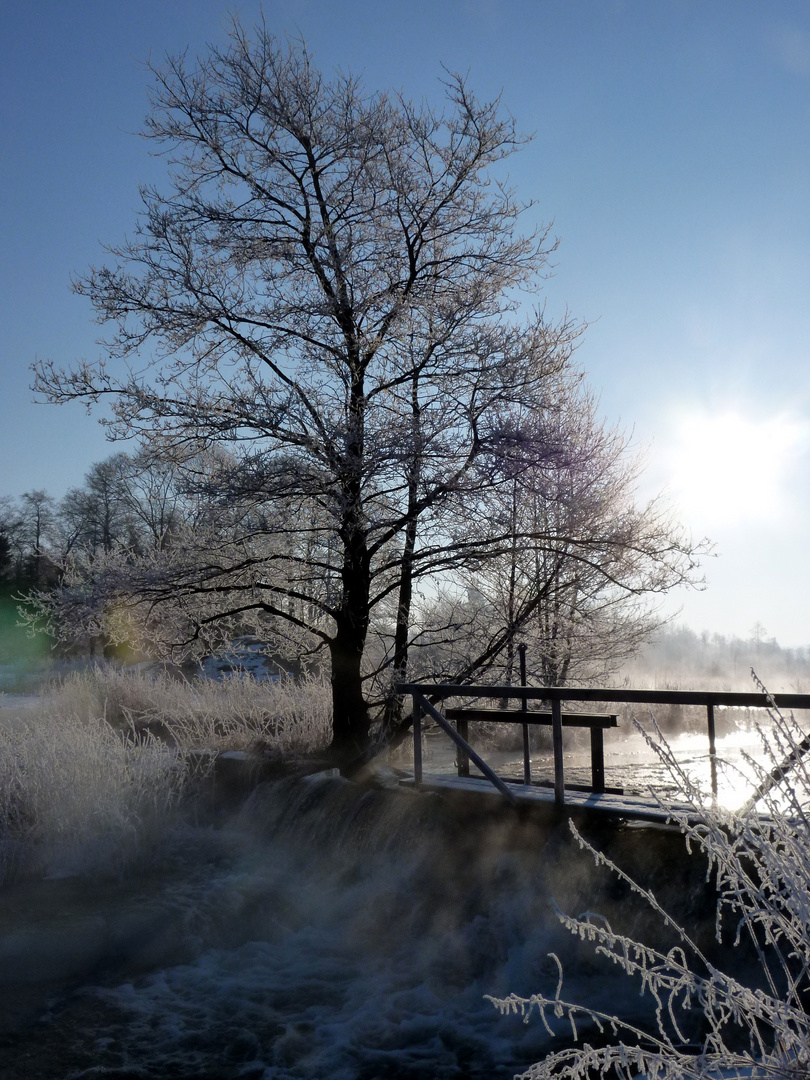 Tirschenreuth,Morgenstimmung,Nähe Lodermühle