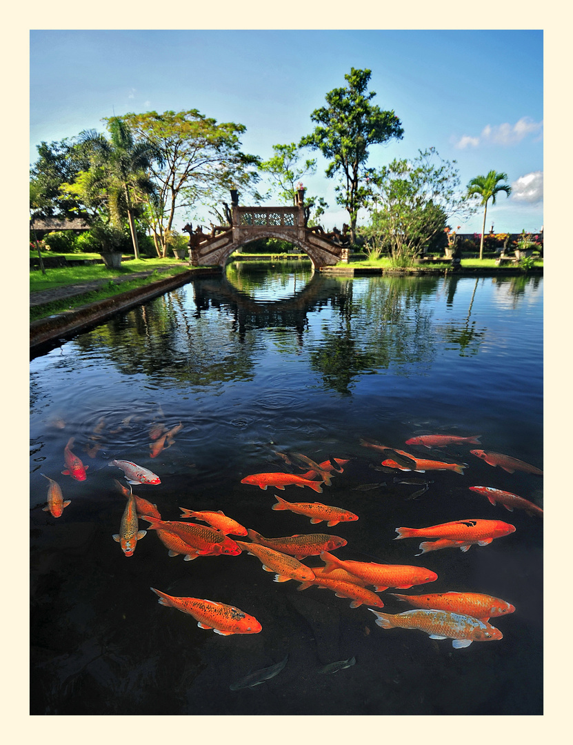 Tirtagangga Wasserpalast 1  / Bali