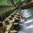 Tirtha Empul III